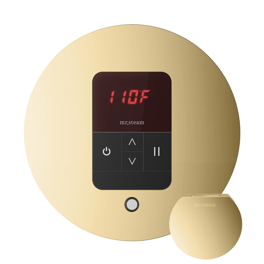 Mr. Steam iTempo Steam Shower Control with Aroma Steamhead