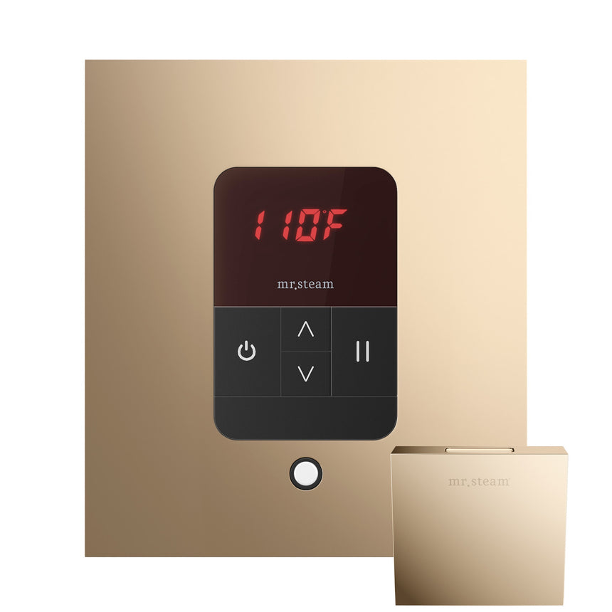 Mr. Steam iTempo Steam Shower Control with Aroma Steamhead
