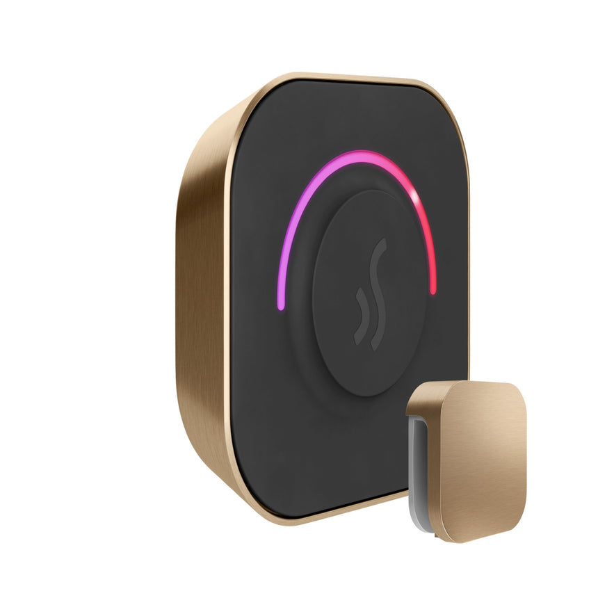 Mr. Steam TempoTouch Steam Shower Control with Aroma Steamhead