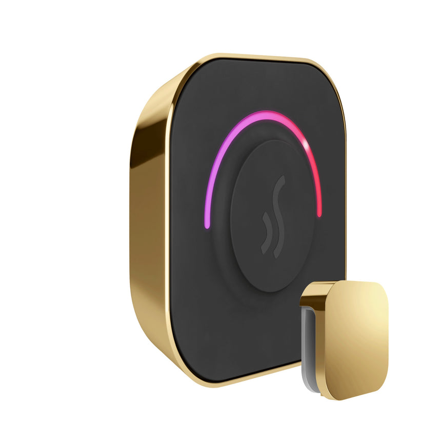 Mr. Steam TempoTouch Steam Shower Control with Aroma Steamhead