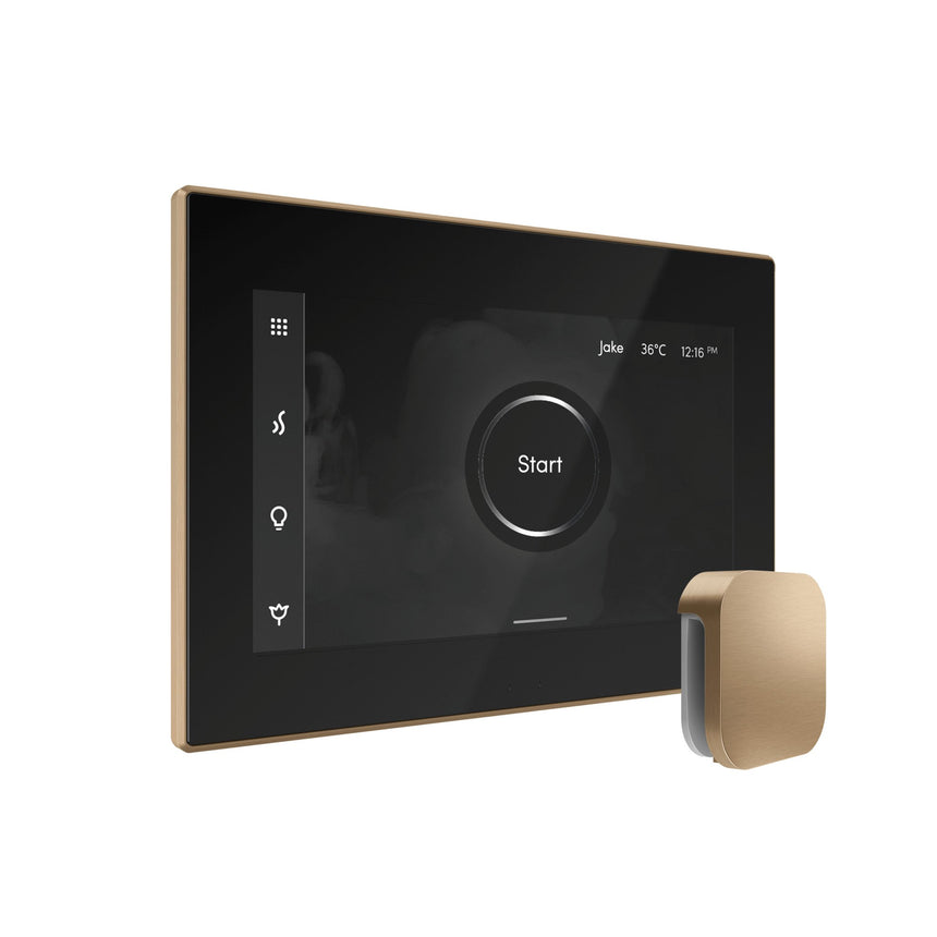 Mr. Steam iSteamX Steam Shower Control with Aroma Steamhead