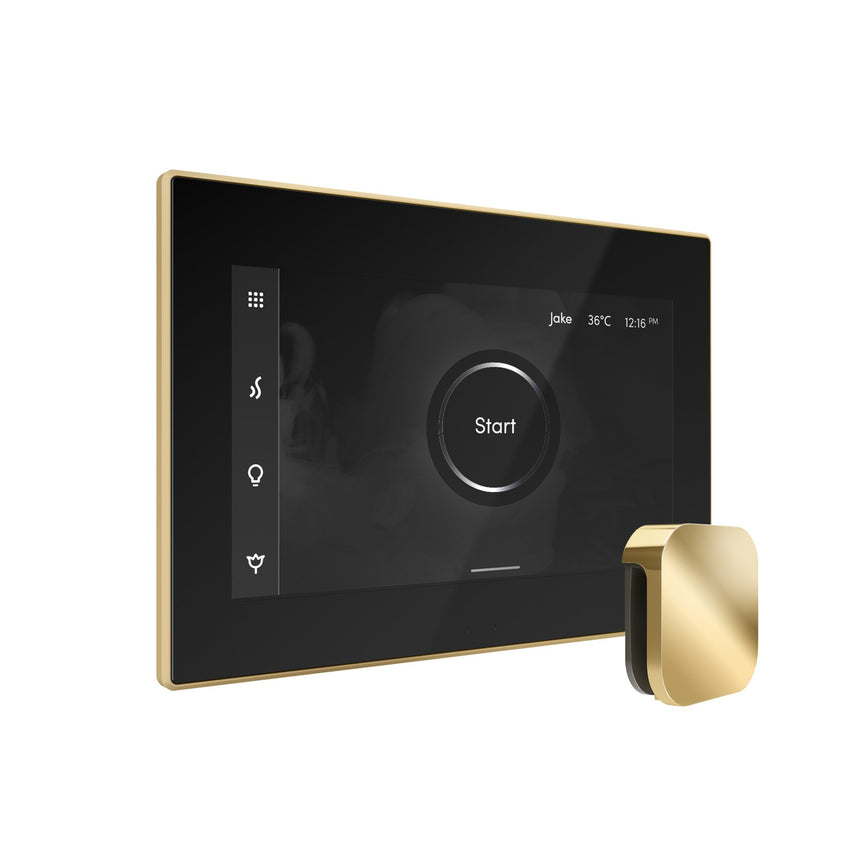 Mr. Steam iSteamX Steam Shower Control with Aroma Steamhead
