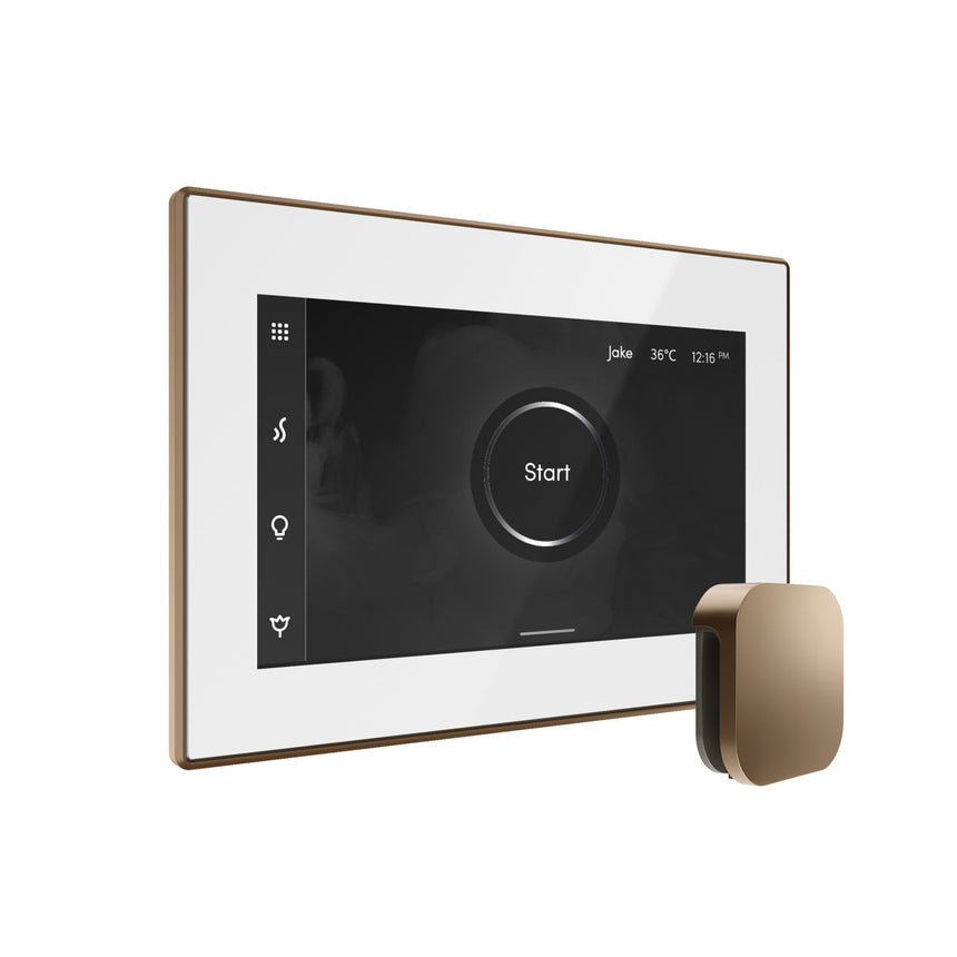 Mr. Steam iSteamX Steam Shower Control with Aroma Steamhead
