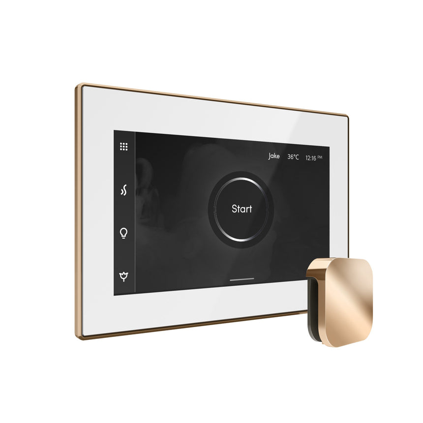 Mr. Steam iSteamX Steam Shower Control with Aroma Steamhead