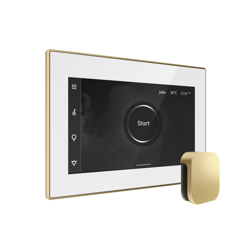 Mr. Steam iSteamX Steam Shower Control with Aroma Steamhead
