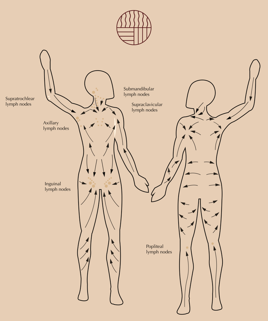 Embrace The Heat The Flow | Body Gua Sha