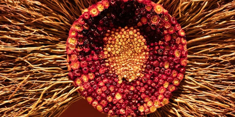 1064 The effect of low energy laser irradiation on the proliferation of cells in culture