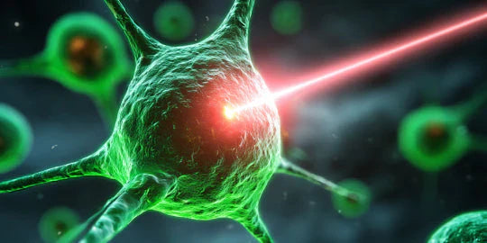 633 nm Effect of low-energy laser power on the bone marrow of the rat