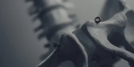 Stem Cells, Scaffold, and 630nm Photobiomodulation in Bone Regeneration