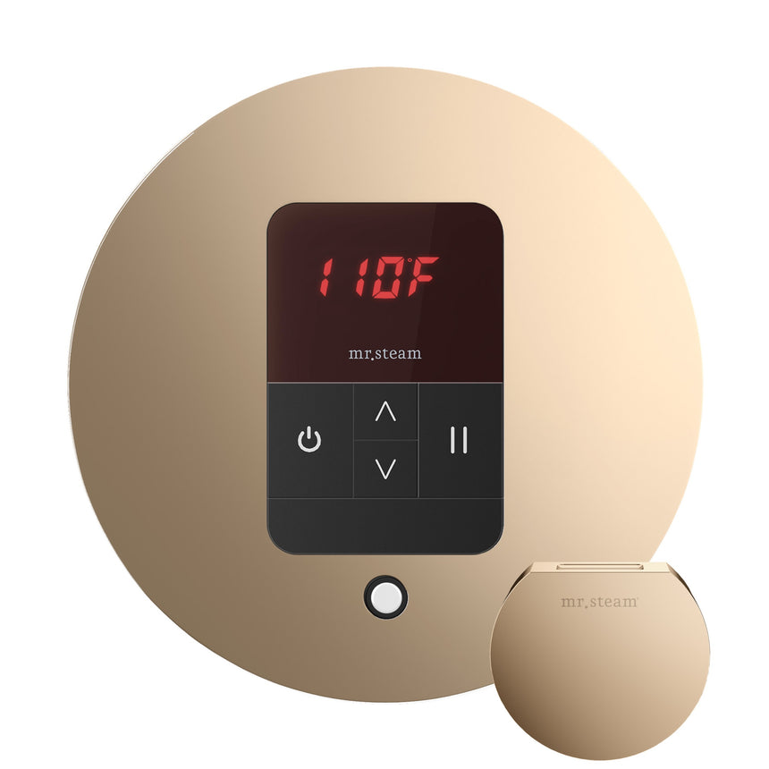 Mr. Steam iTempo Steam Shower Control with Aroma Steamhead