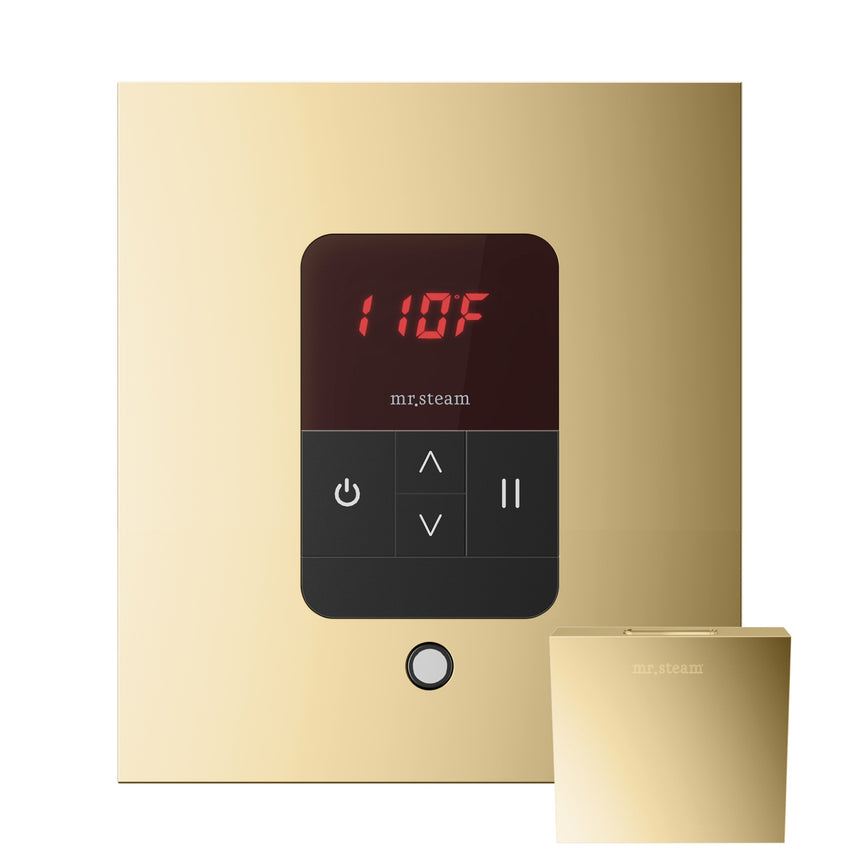 Mr. Steam iTempo Steam Shower Control with Aroma Steamhead