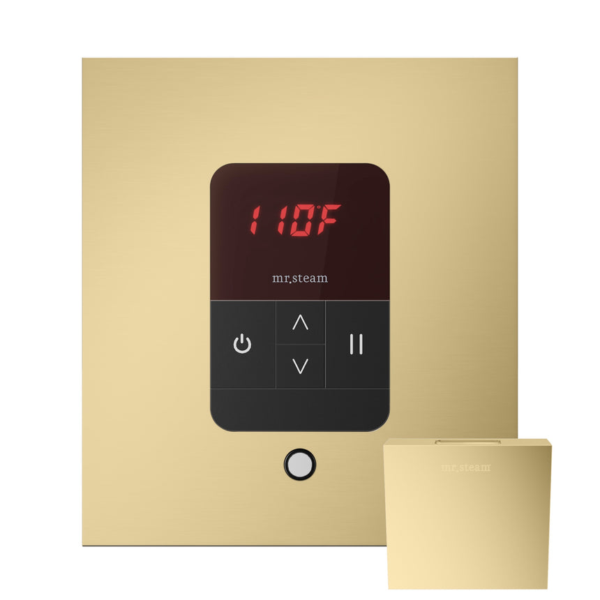 Mr. Steam iTempo Steam Shower Control with Aroma Steamhead