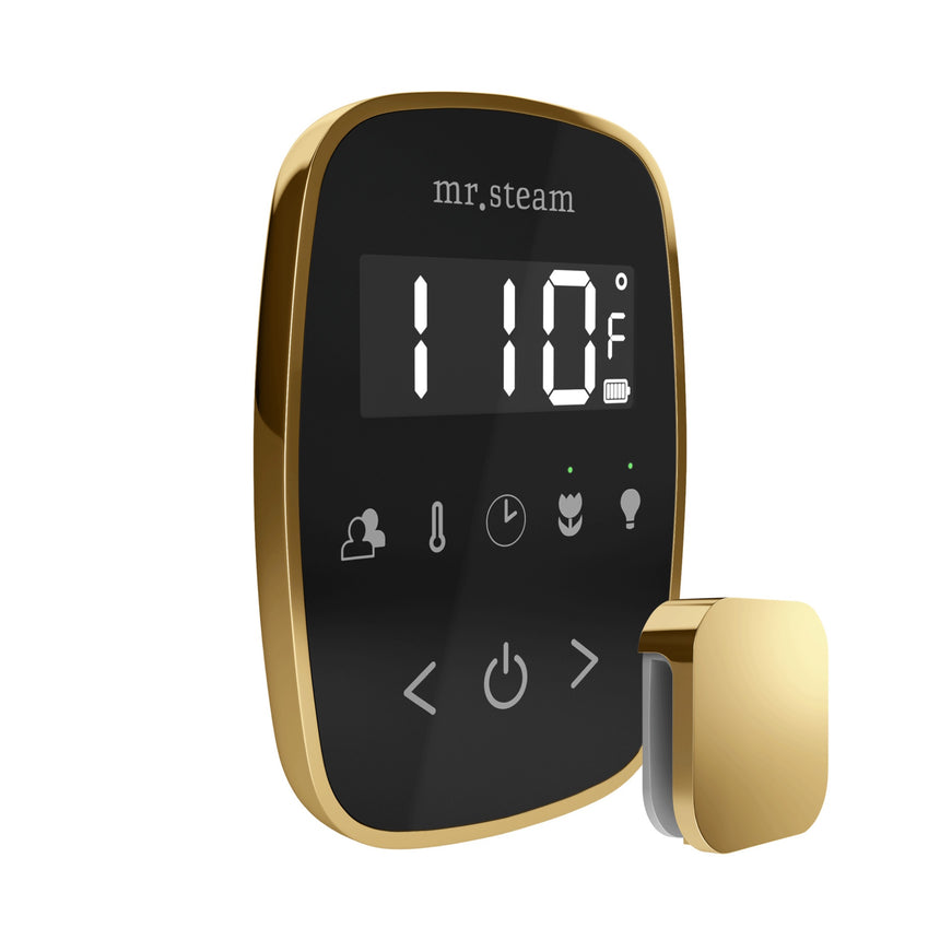 Mr. Steam TempoFlex Wireless Steam Shower Control with Aroma Steamhead