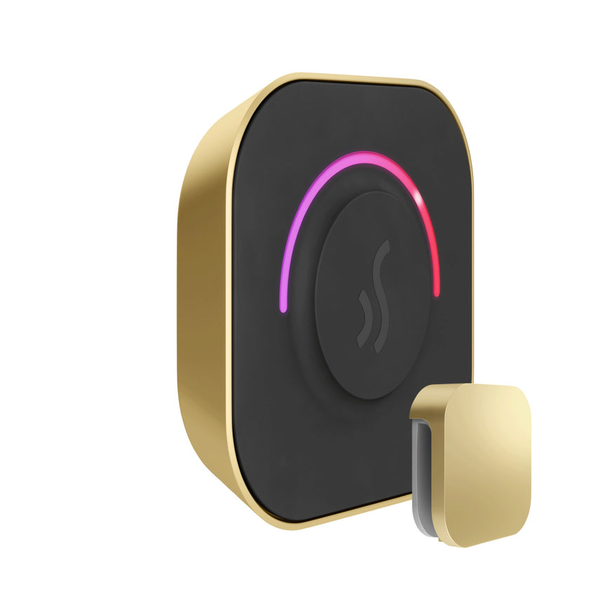 Mr. Steam TempoTouch Steam Shower Control with Aroma Steamhead