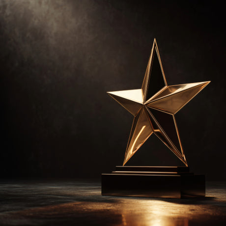 Premium gold star trophy for top-rated best-selling saunas.