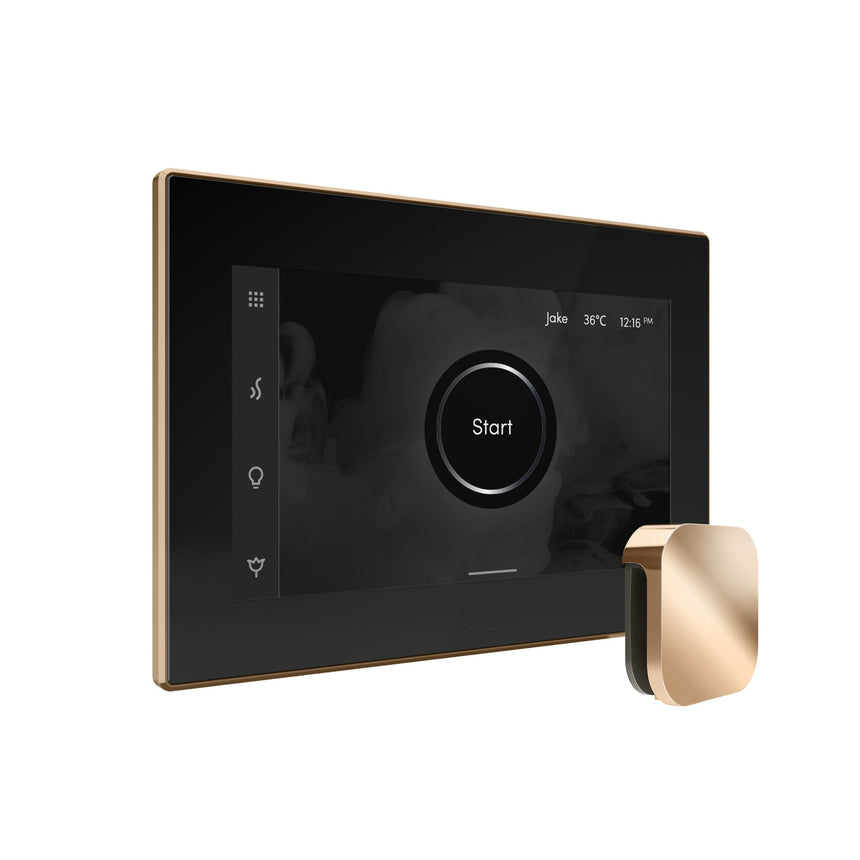 Mr. Steam iSteamX Steam Shower Control with Aroma Steamhead