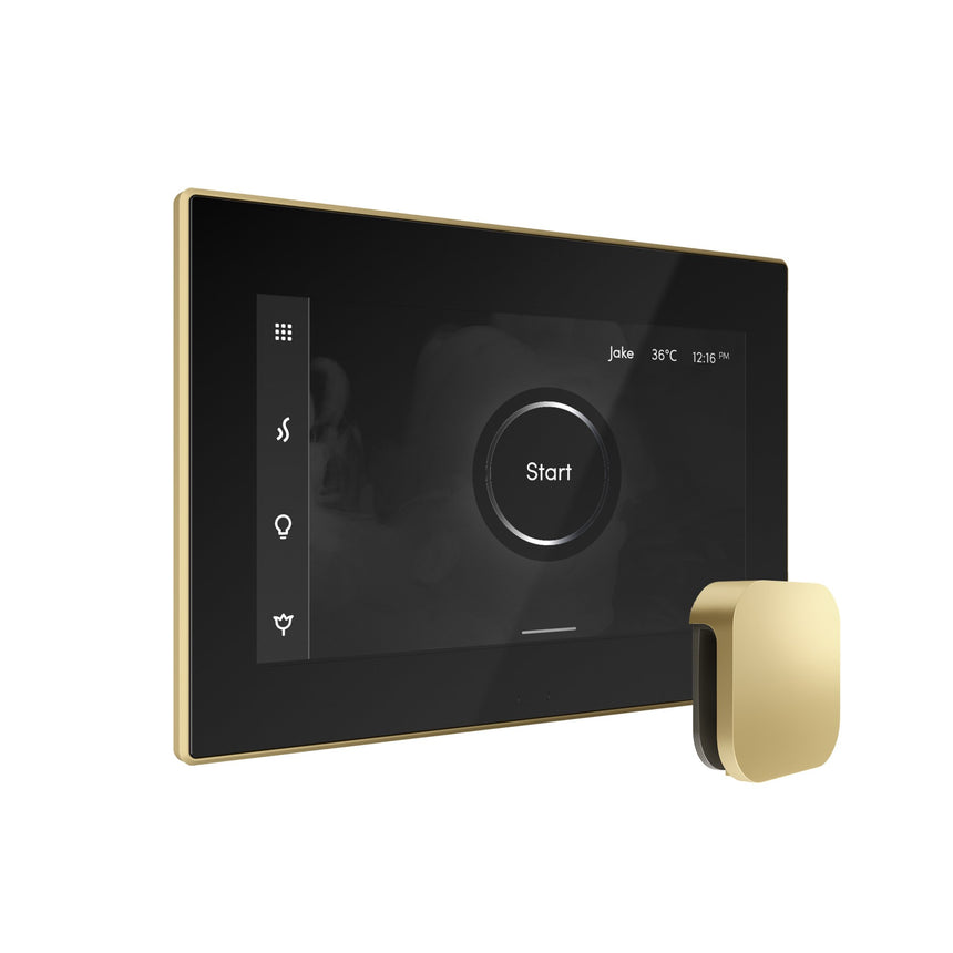 Mr. Steam iSteamX Steam Shower Control with Aroma Steamhead